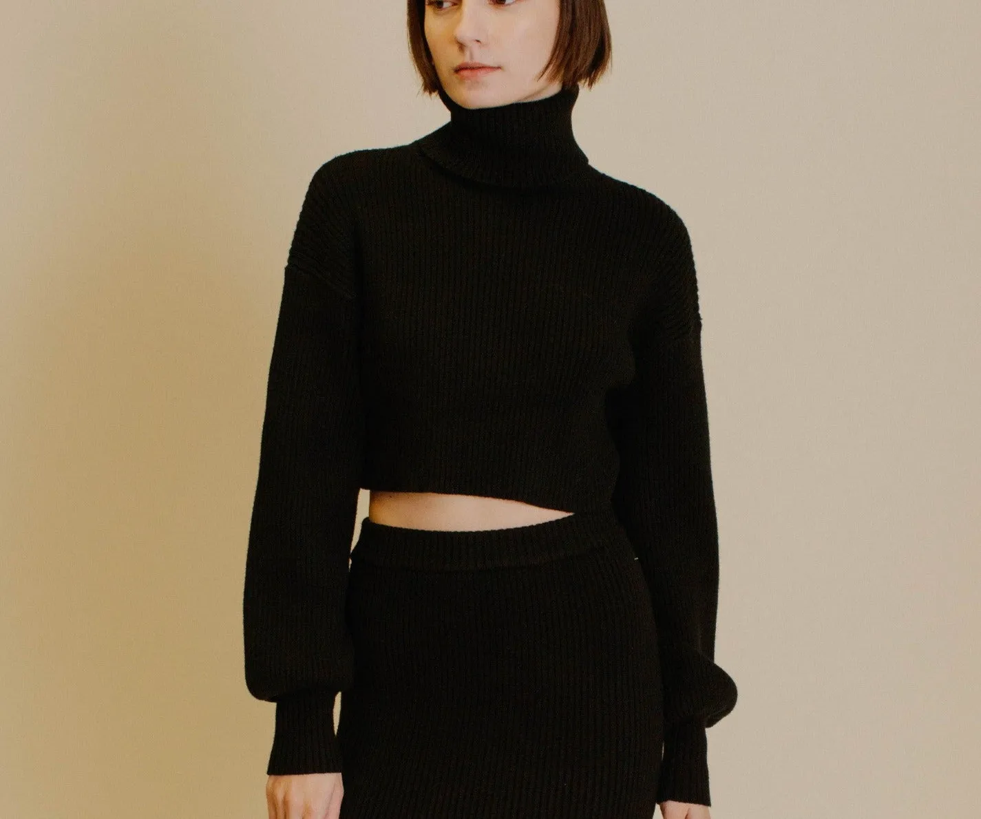 KERRY CROPPED TURTLENECK SWEATER